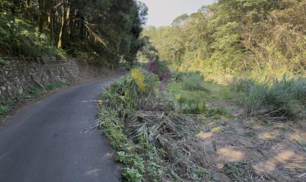 橫山鄉下大窩段2606坪保育區農地
