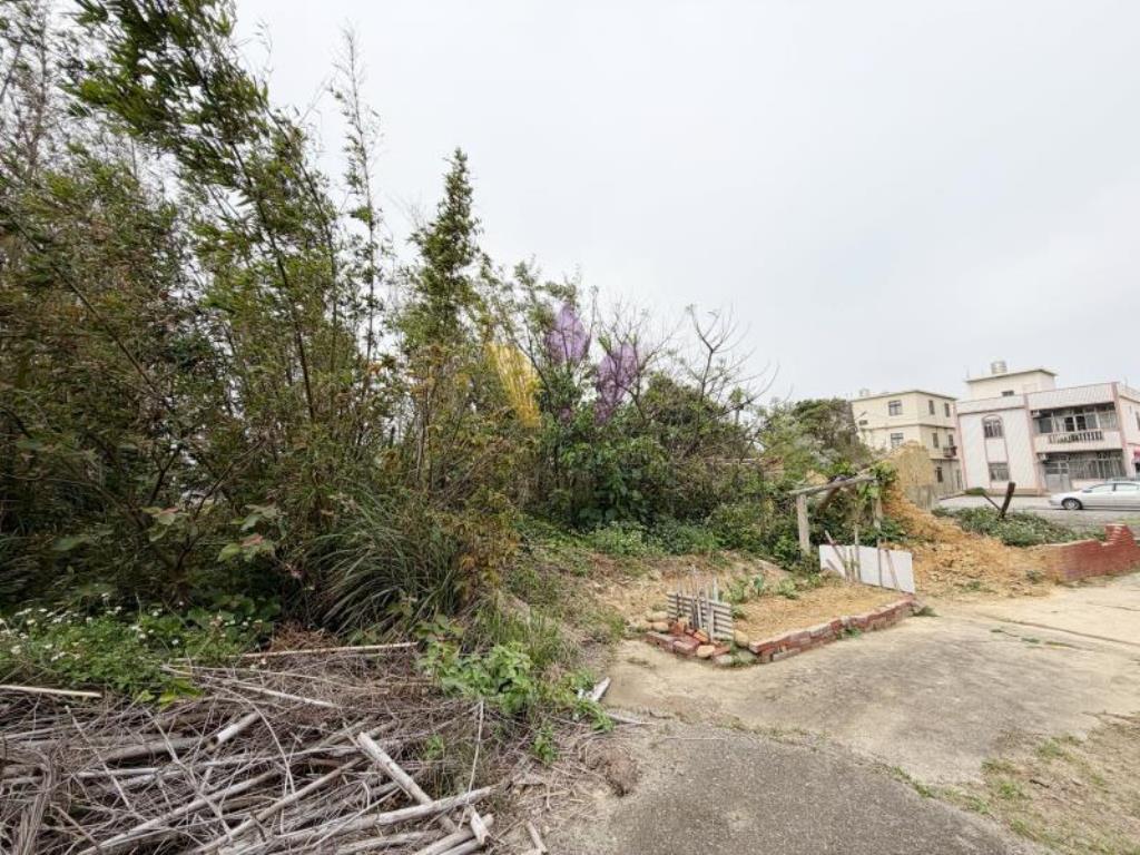 [精彩]觀音保興路二段方正甲建