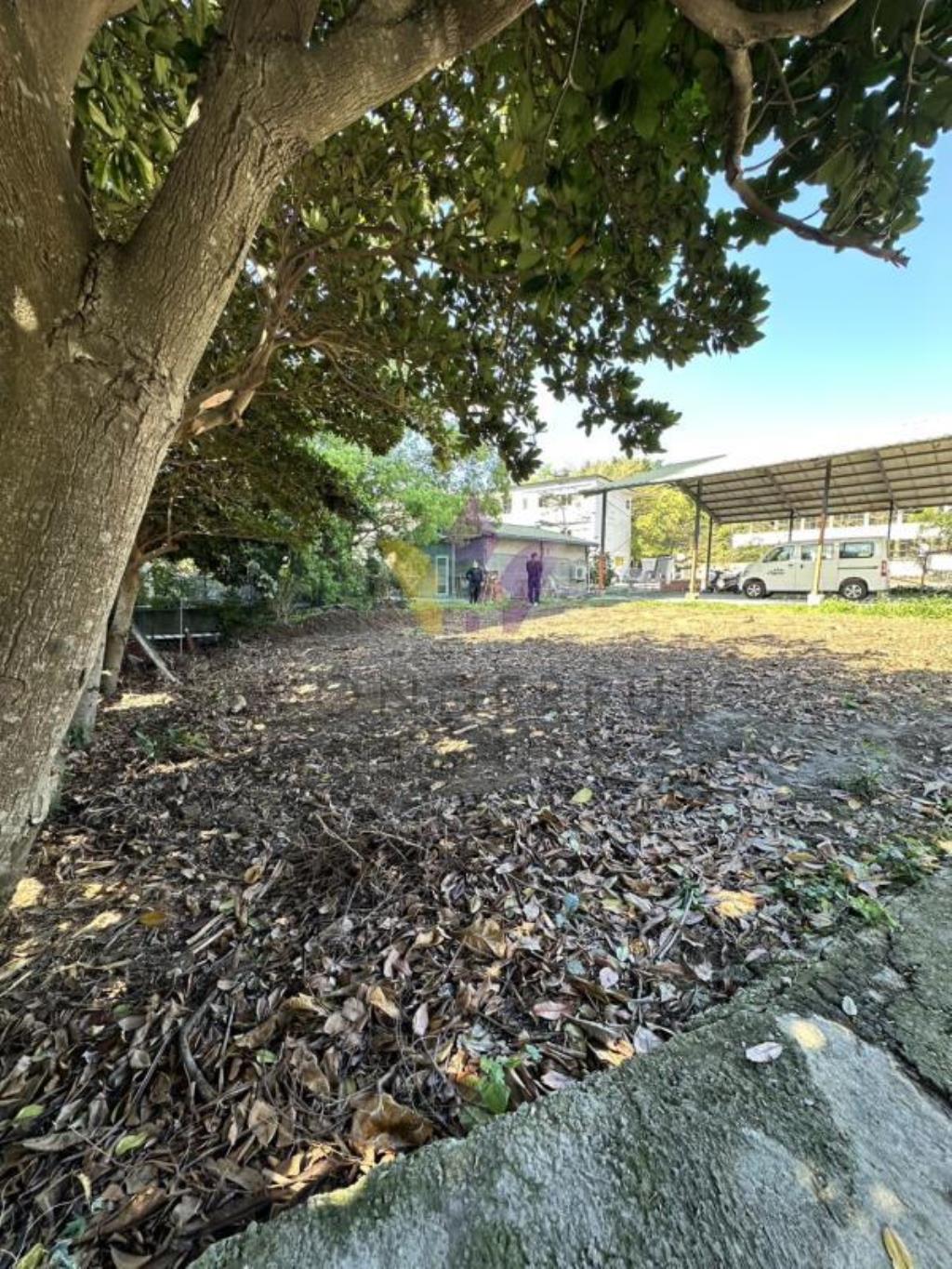 [精彩]台北北投好市多忠義捷運站建地