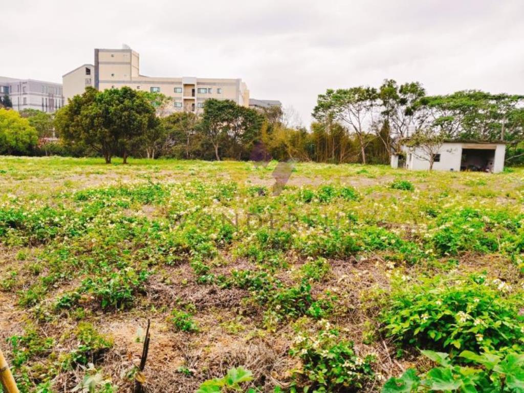 [精彩]龍潭渴望園區近高原交流道農地E
