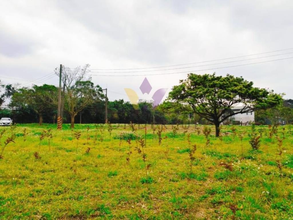 [精彩]龍潭渴望園區近高原交流道農地E