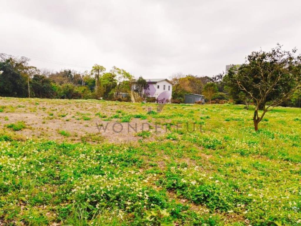 [精彩]龍潭渴望園區近高原交流道農地F