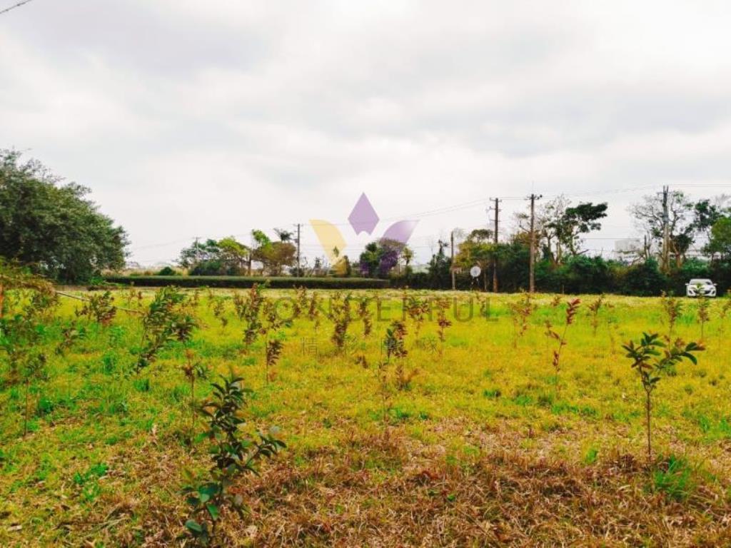 [精彩]龍潭渴望園區近高原交流道農地F