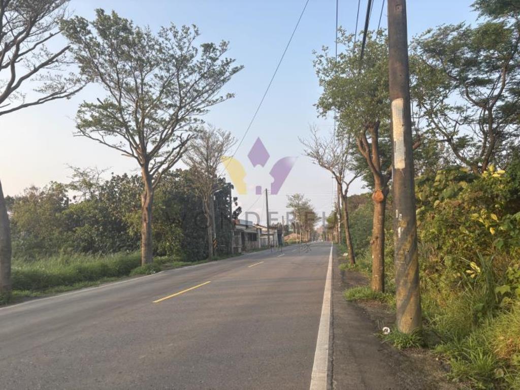 [精彩]觀音廣大段1/1及持分特農