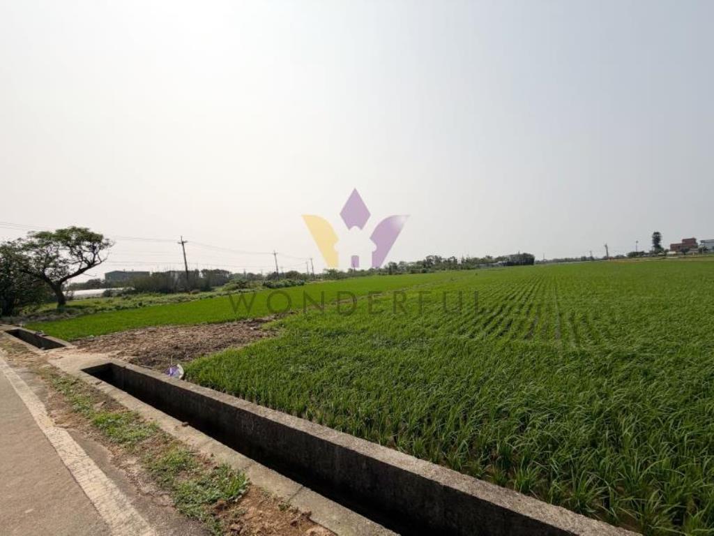 [精彩]新屋正民有一路低總價建地