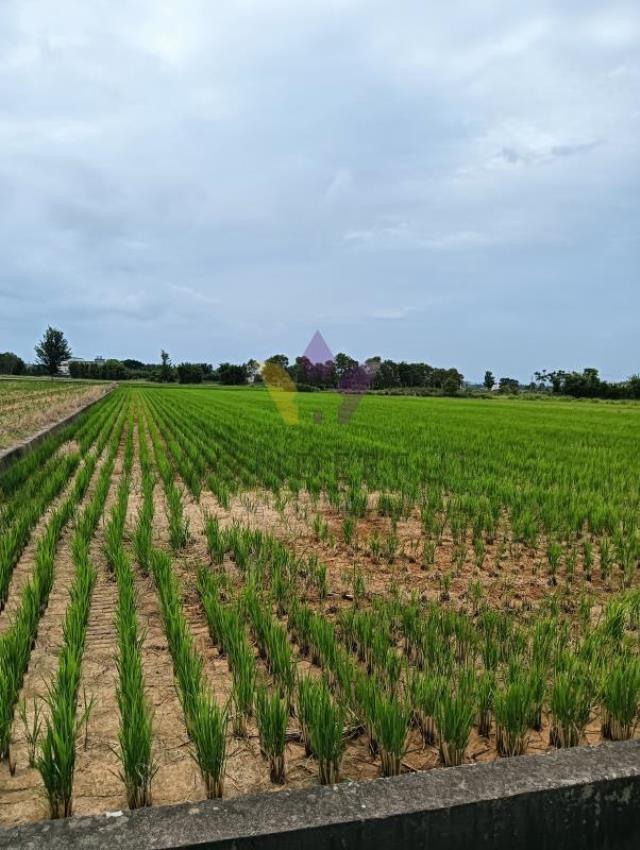 [精彩]新屋8米路大坡1210美田