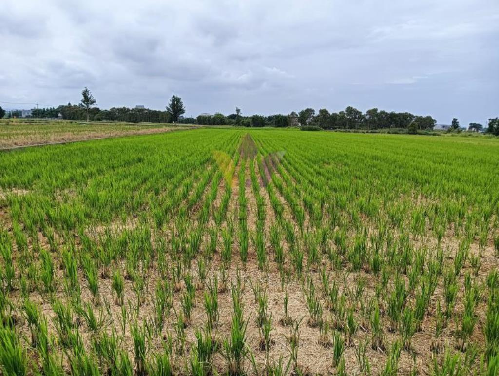 [精彩]新屋8米路大坡1210美田