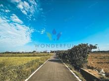 [精彩]觀音行政園區文化路旁農地