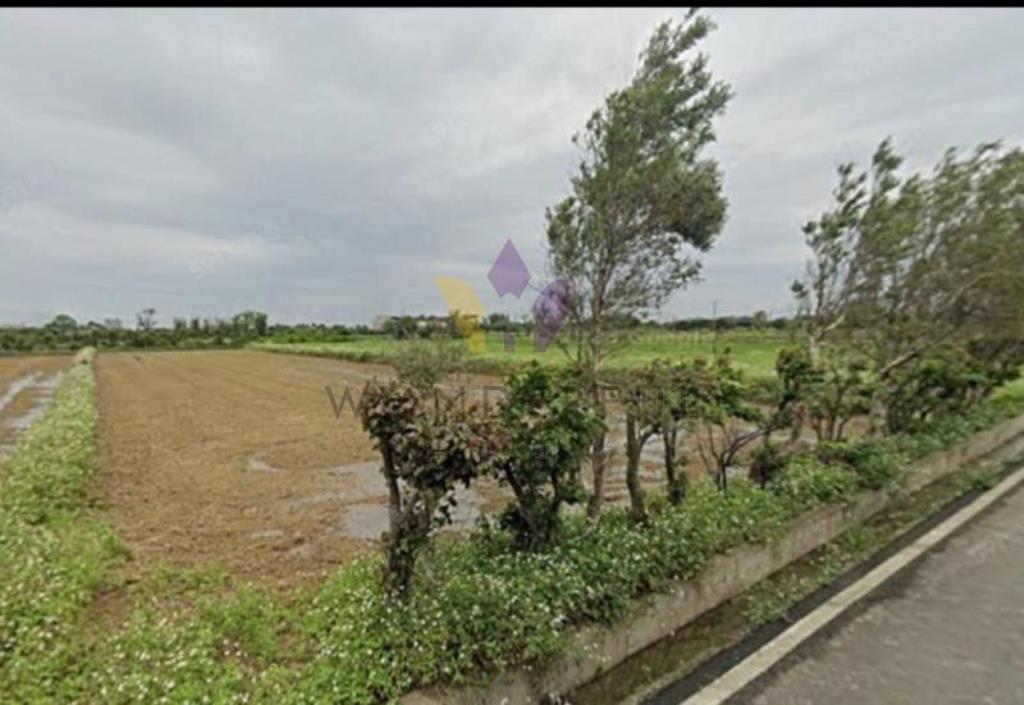 [精彩]觀音行政園區文化路旁農地