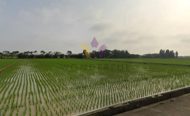 [精彩]新屋方正漂亮低總價農地