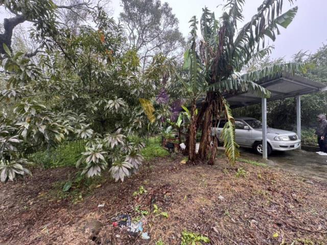 [精彩]發財機會搶手竹龍段漂亮建地持分