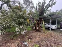 [精彩]發財機會搶手竹龍段漂亮建地持分