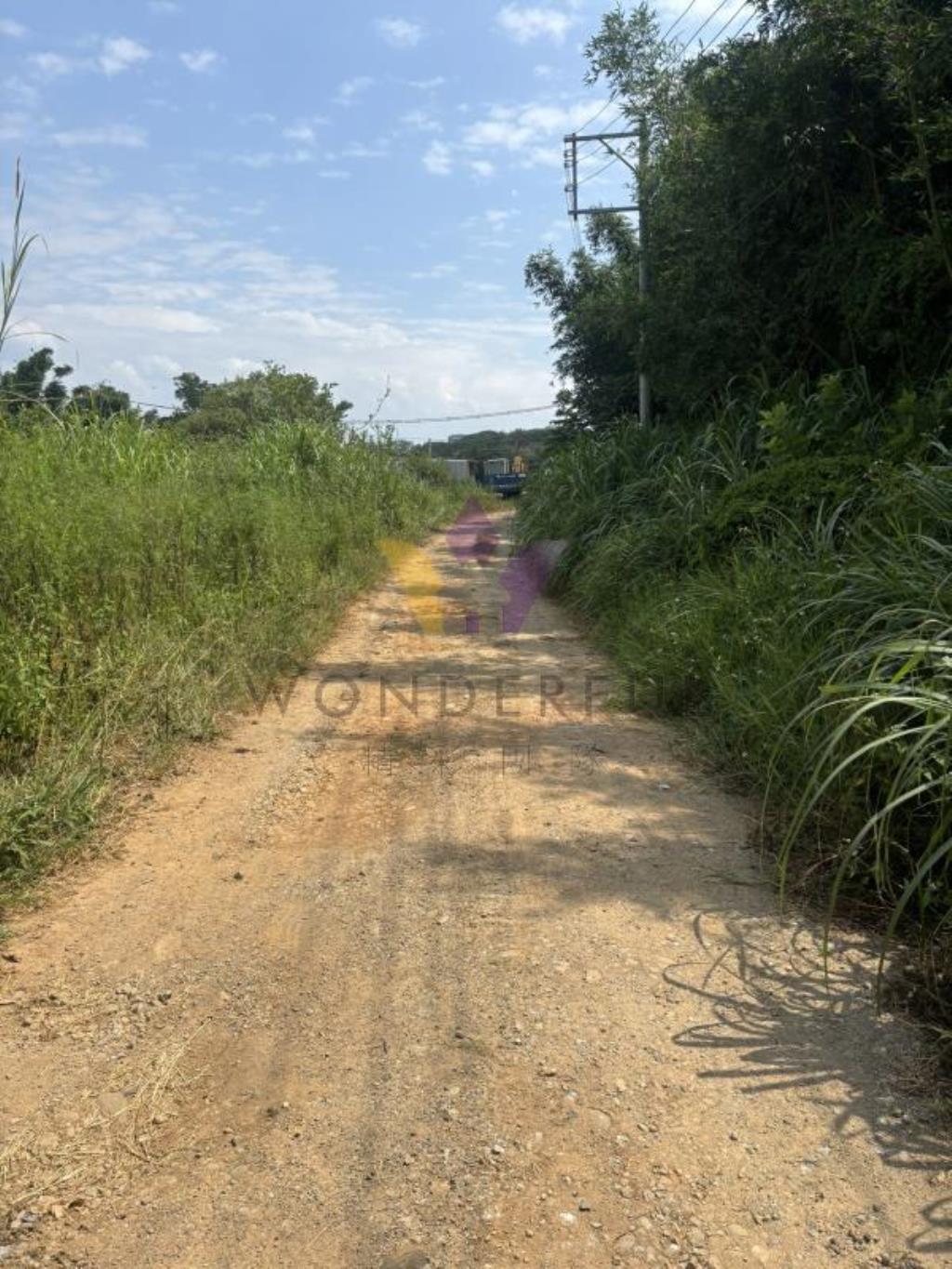 近66/平鎮教養院/雙面臨路漂亮美農地