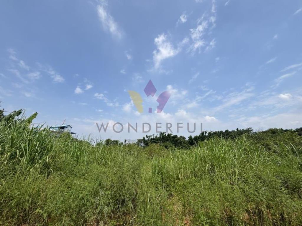 近66/平鎮教養院/雙面臨路漂亮美農地