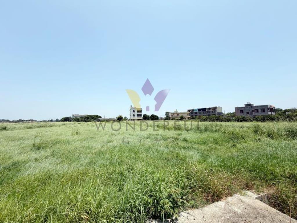 [精彩]觀音月桃路三段農保地B