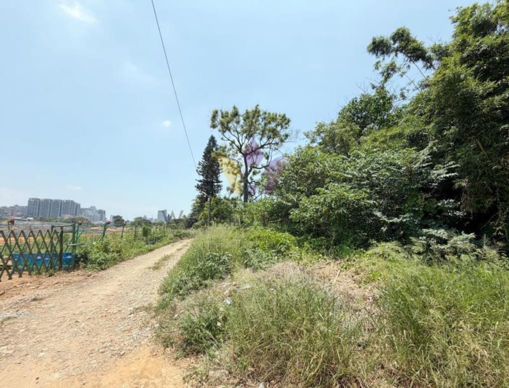 [精彩]近A21興南路方正都內農