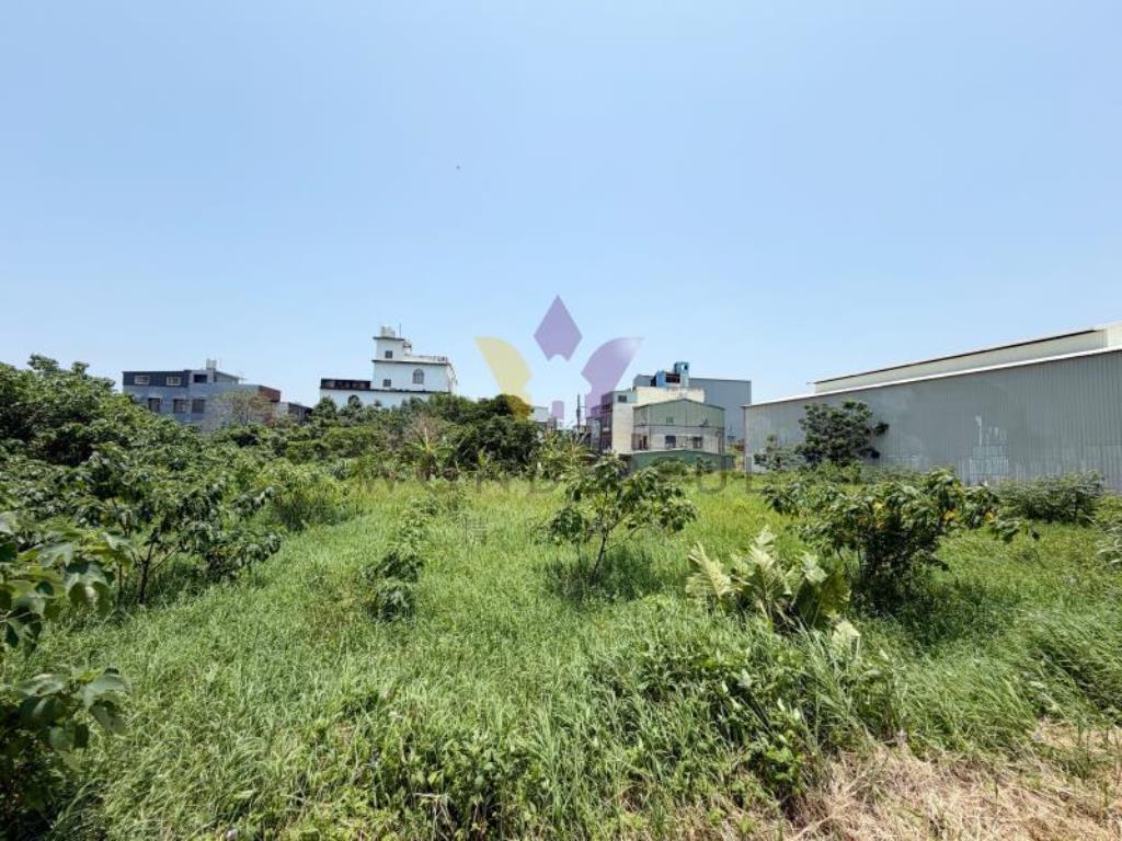 [精彩]中壢忠愛莊福祥路一段方正田
