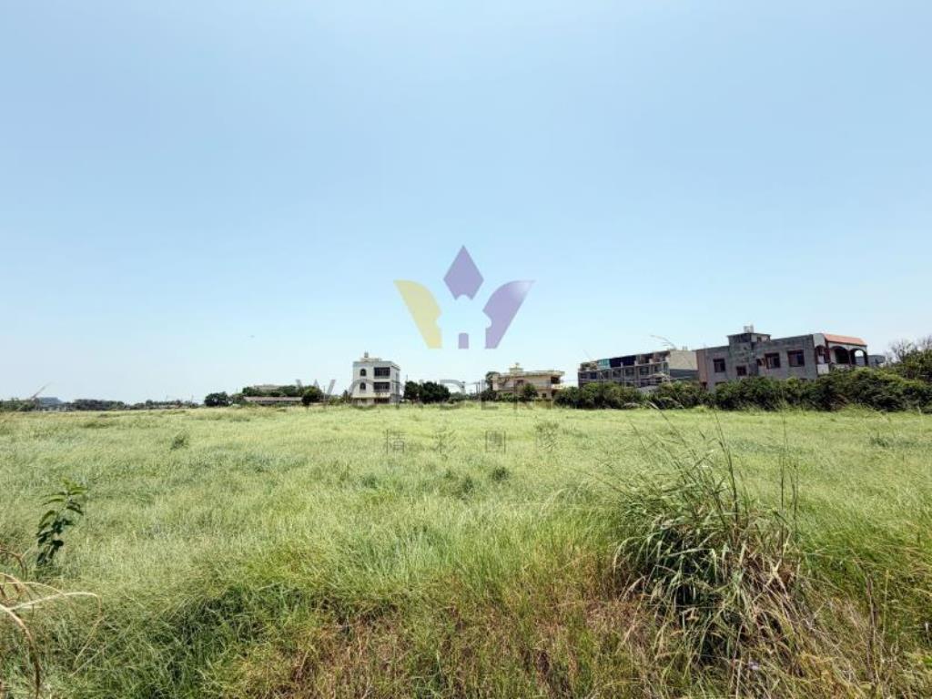[精彩]觀音月桃路三段農保地C
