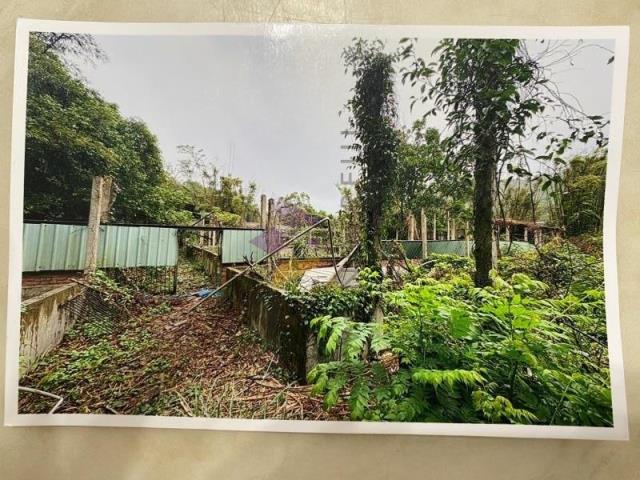 [精彩]新埔豬舍含丙建與農牧用地