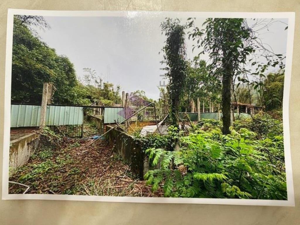 [精彩]新埔豬舍含丙建與農牧用地