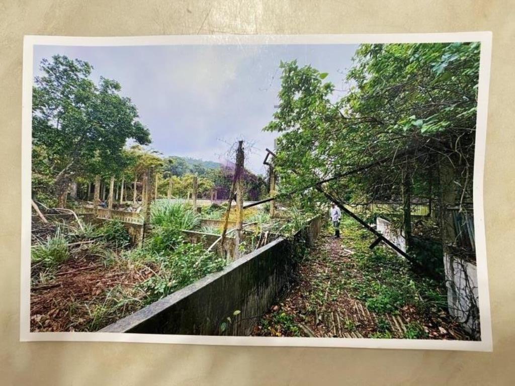 [精彩]新埔豬舍含丙建與農牧用地