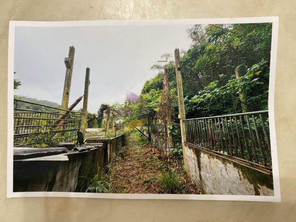 [精彩]新埔豬舍含丙建與農牧用地