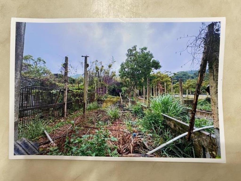 [精彩]新埔豬舍含丙建與農牧用地
