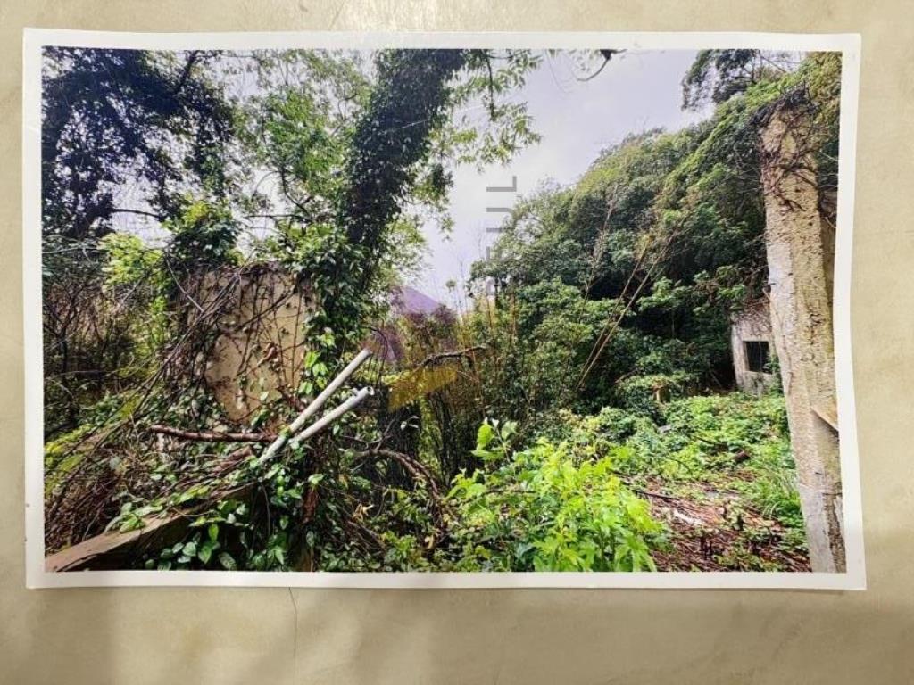 [精彩]新埔豬舍含丙建與農牧用地