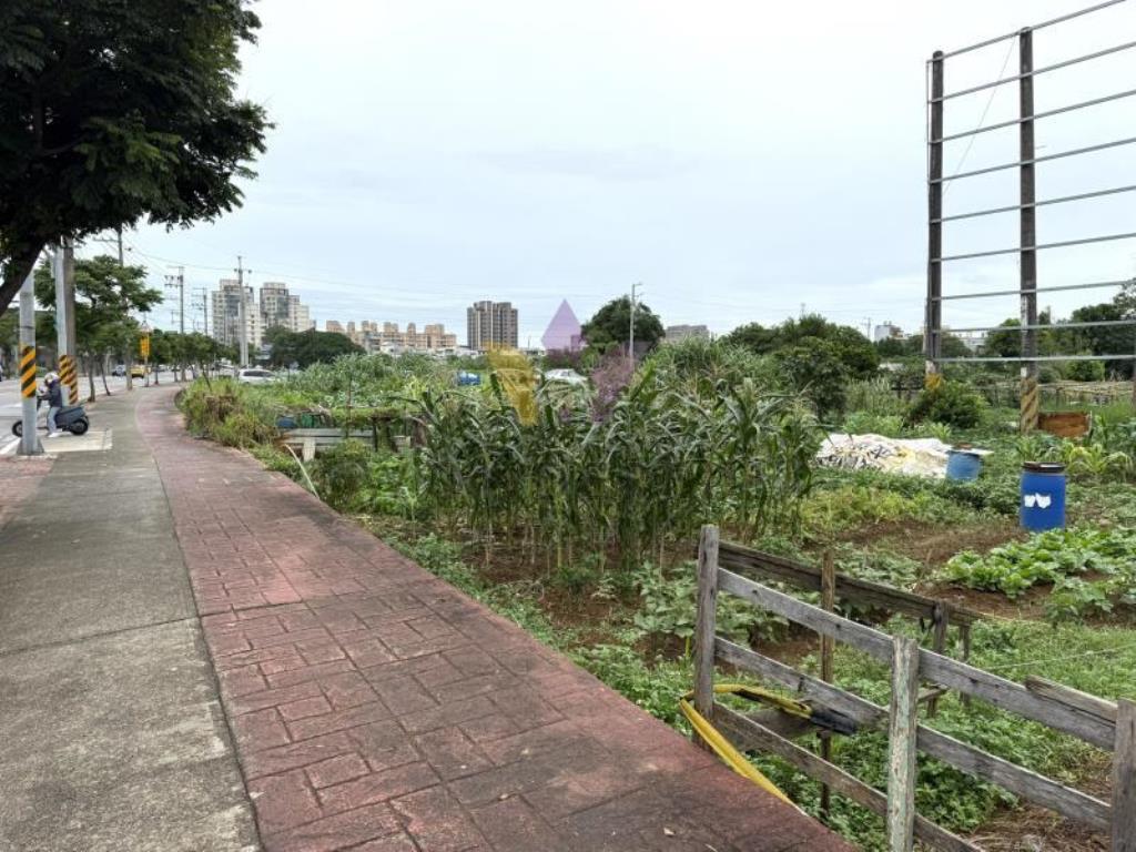 正榮民南路路邊｜中壢都內農｜稀有小坪數