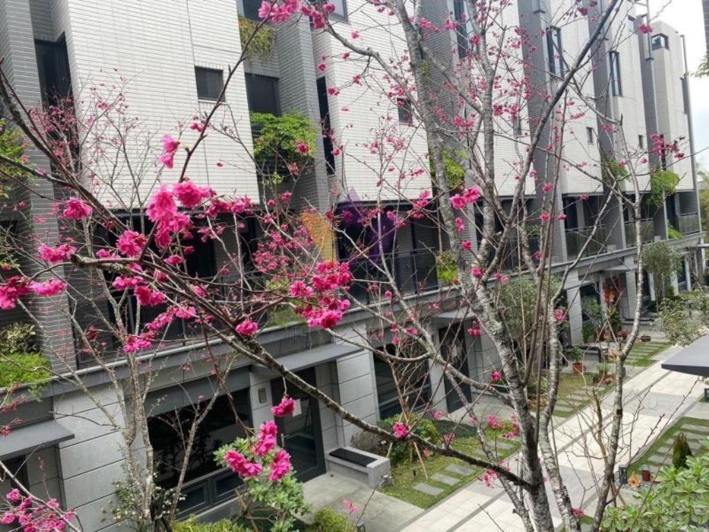 [精彩]近平鎮車站深耕電梯別墅