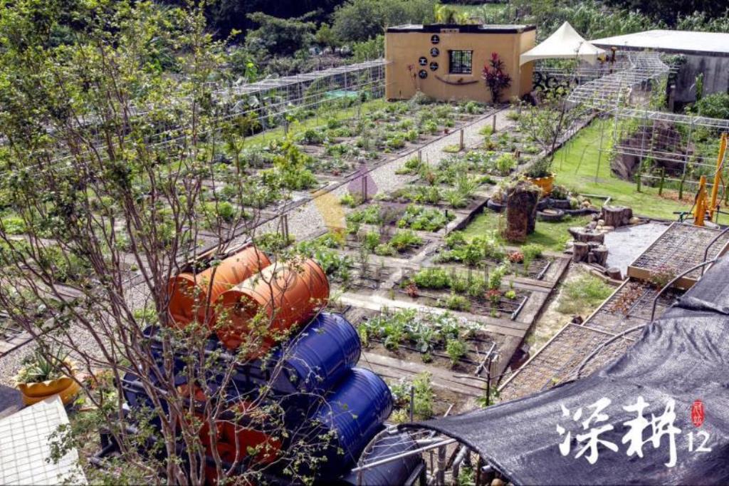 [精彩]近平鎮車站深耕電梯別墅
