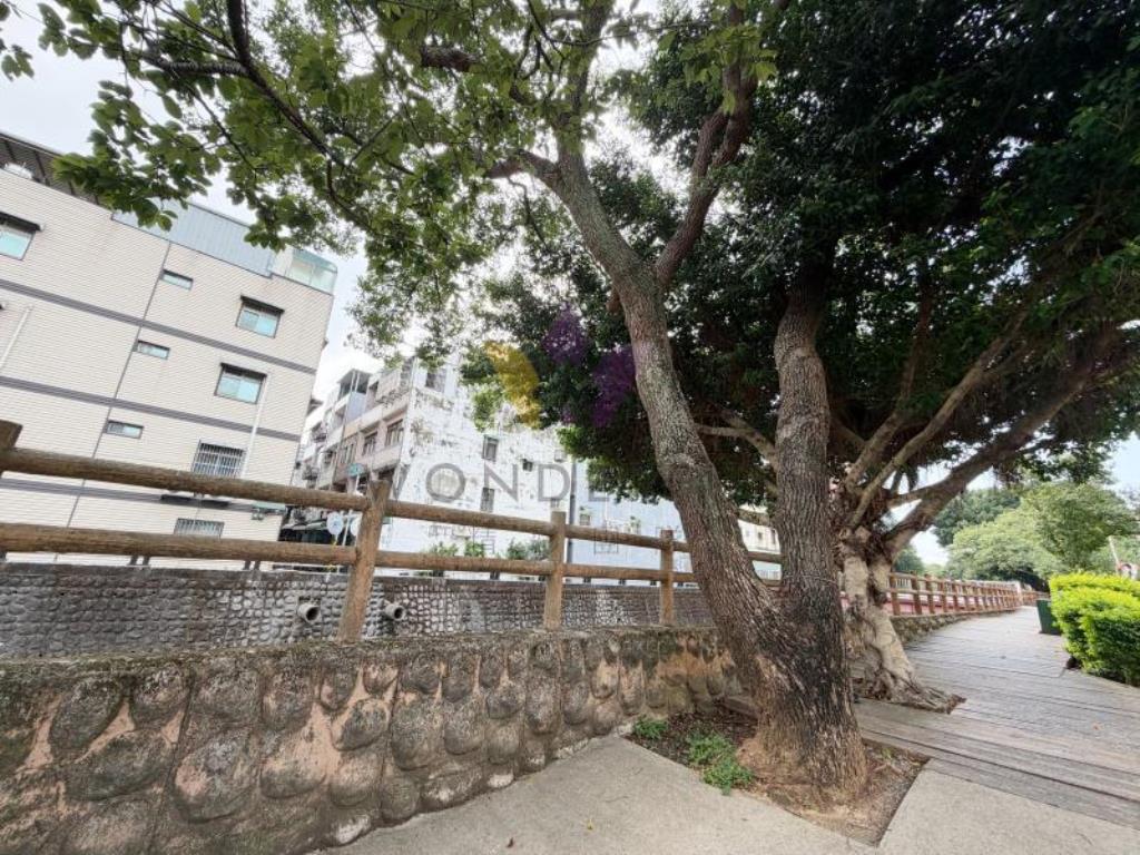 [精彩]林森國小新街溪畔前院透天