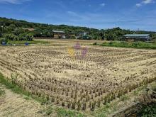 [精彩]近六和高中復旦路四段美農地
