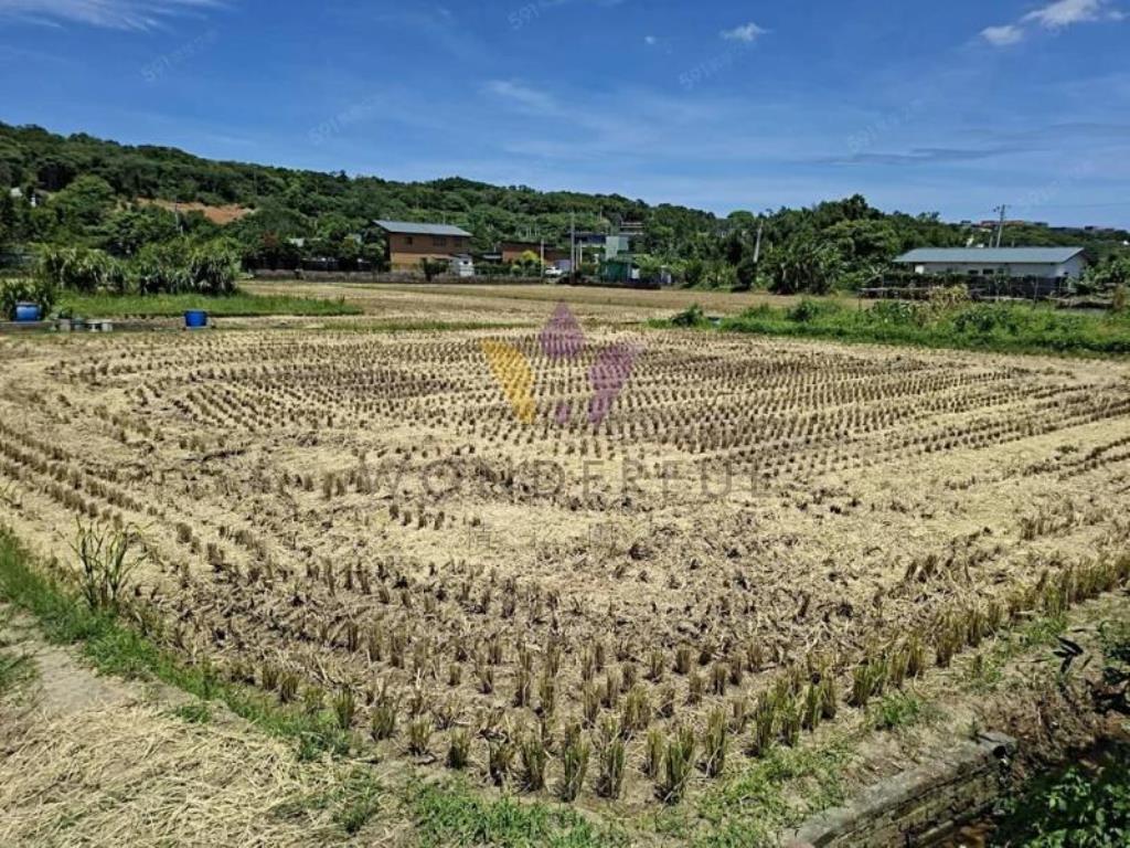 [精彩]近六和高中復旦路四段美農地