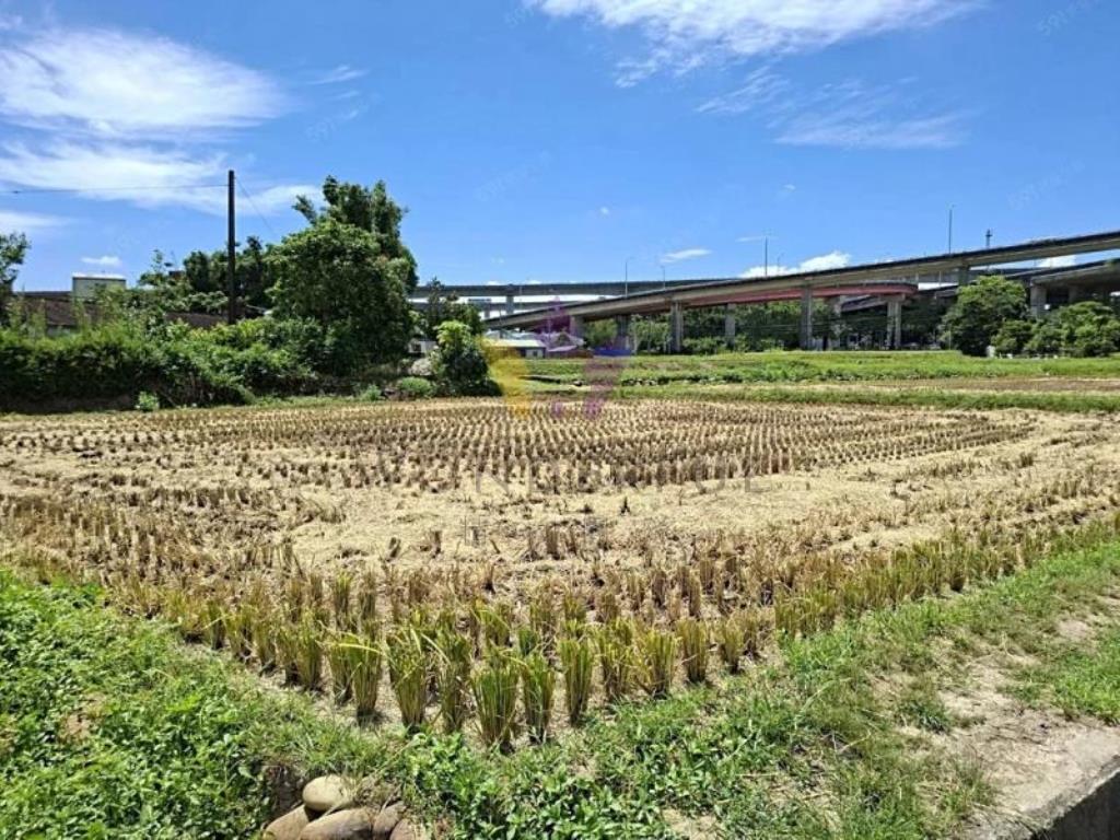 [精彩]近六和高中復旦路四段美農地