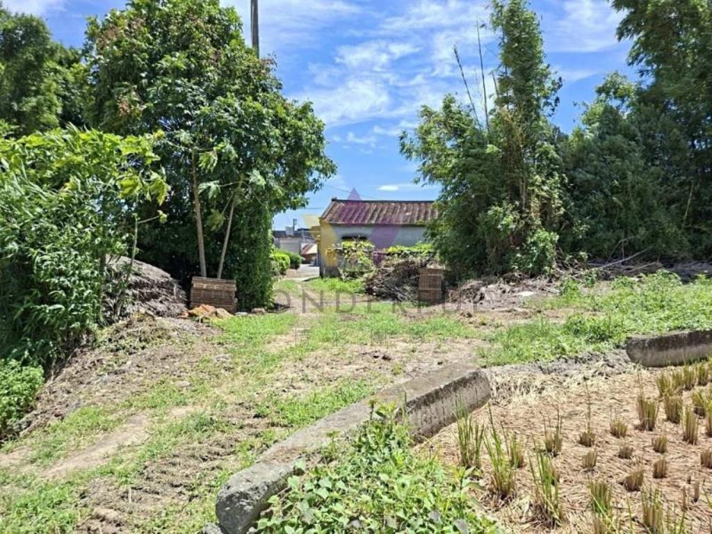 [精彩]近六和高中復旦路四段美農地
