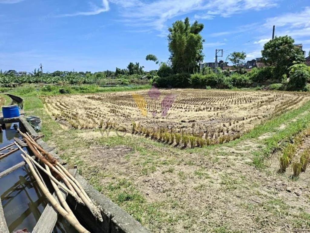 [精彩]近六和高中復旦路四段美農地