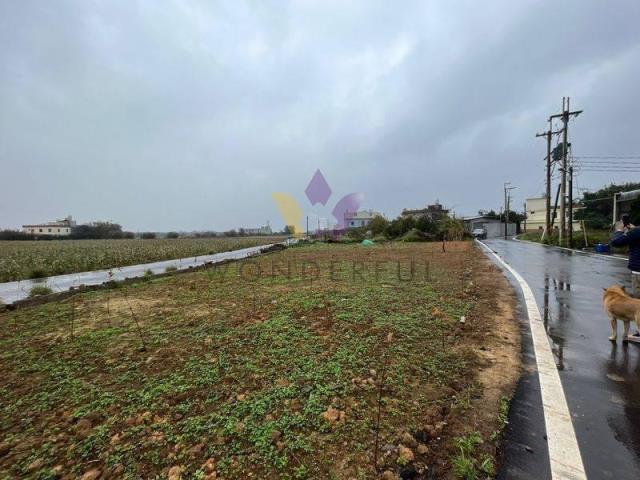 [精彩]新屋雙面臨路下田心子農地