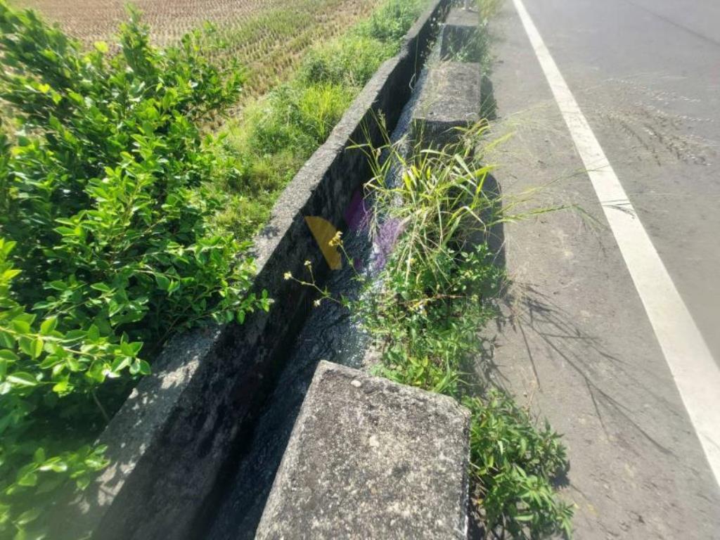[精彩]新屋近濱海公路1712農地