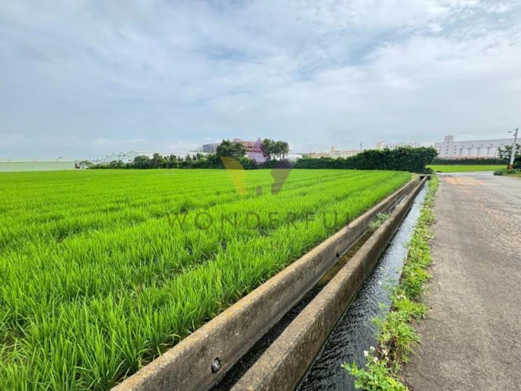 [精彩]楊梅富岡美農地