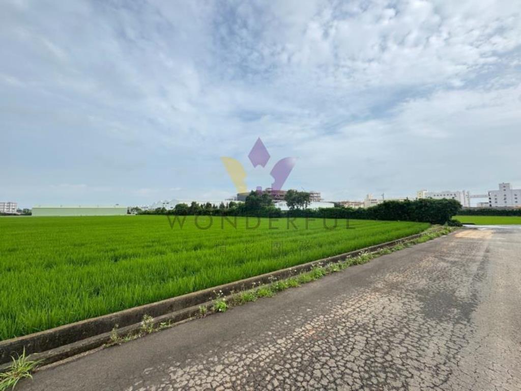 [精彩]楊梅富岡美農地