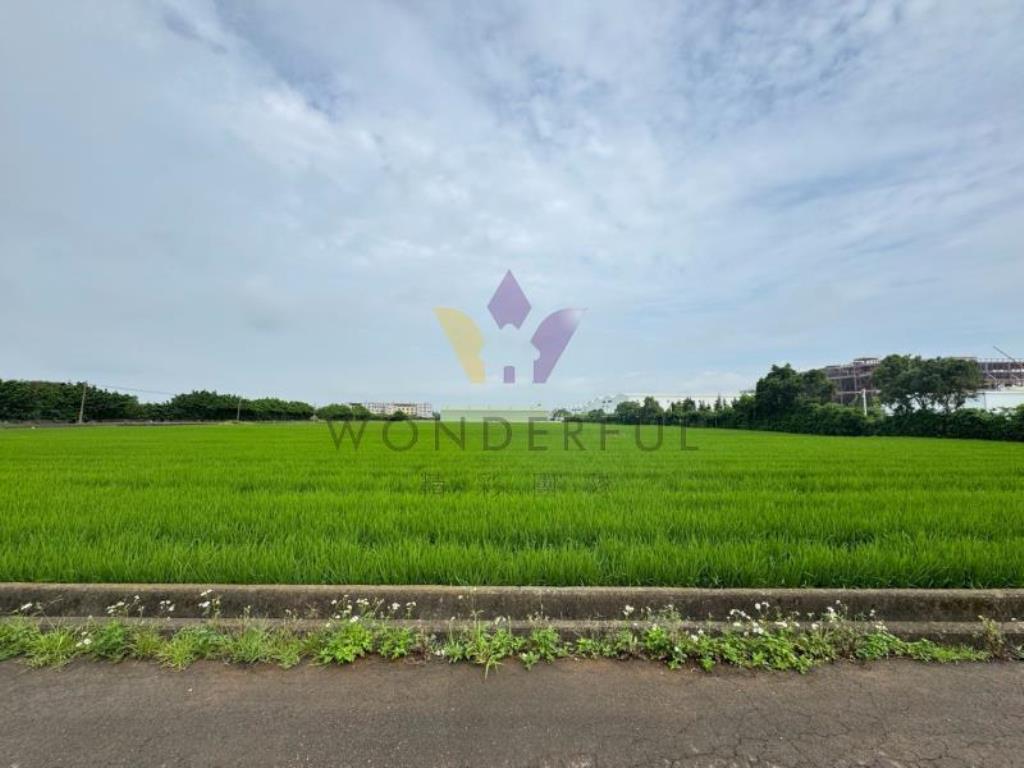 [精彩]楊梅富岡美農地