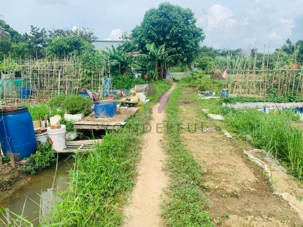 [精彩]平鎮金陵路66旁持分美農地