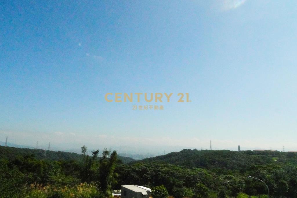 101獨棟景觀電梯別墅