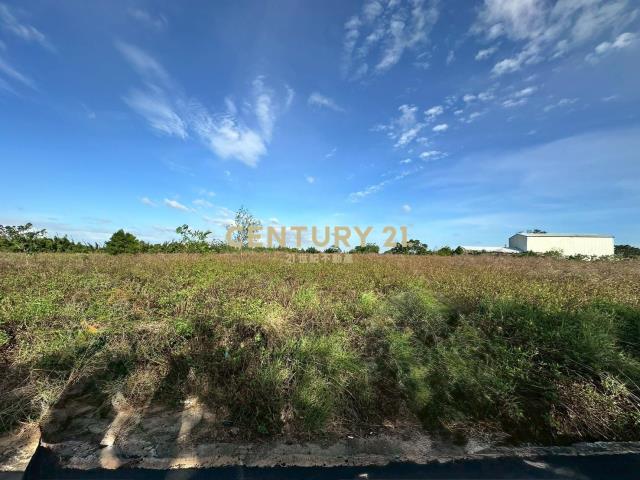 新屋槺榔段土地