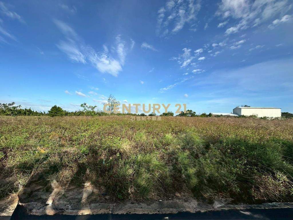 新屋槺榔段土地