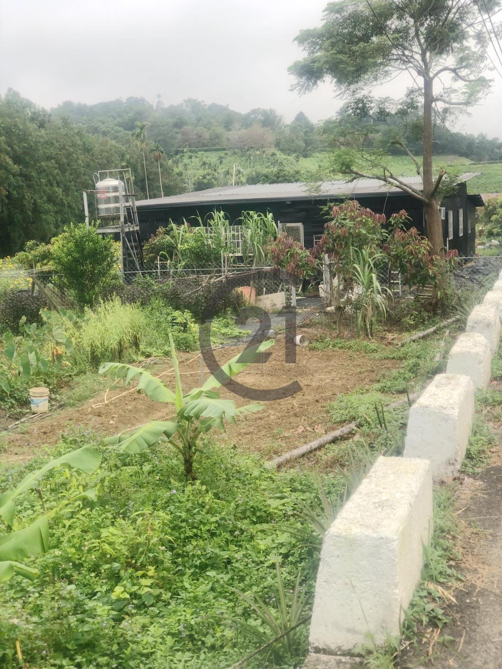 埔里農地附建物-L4