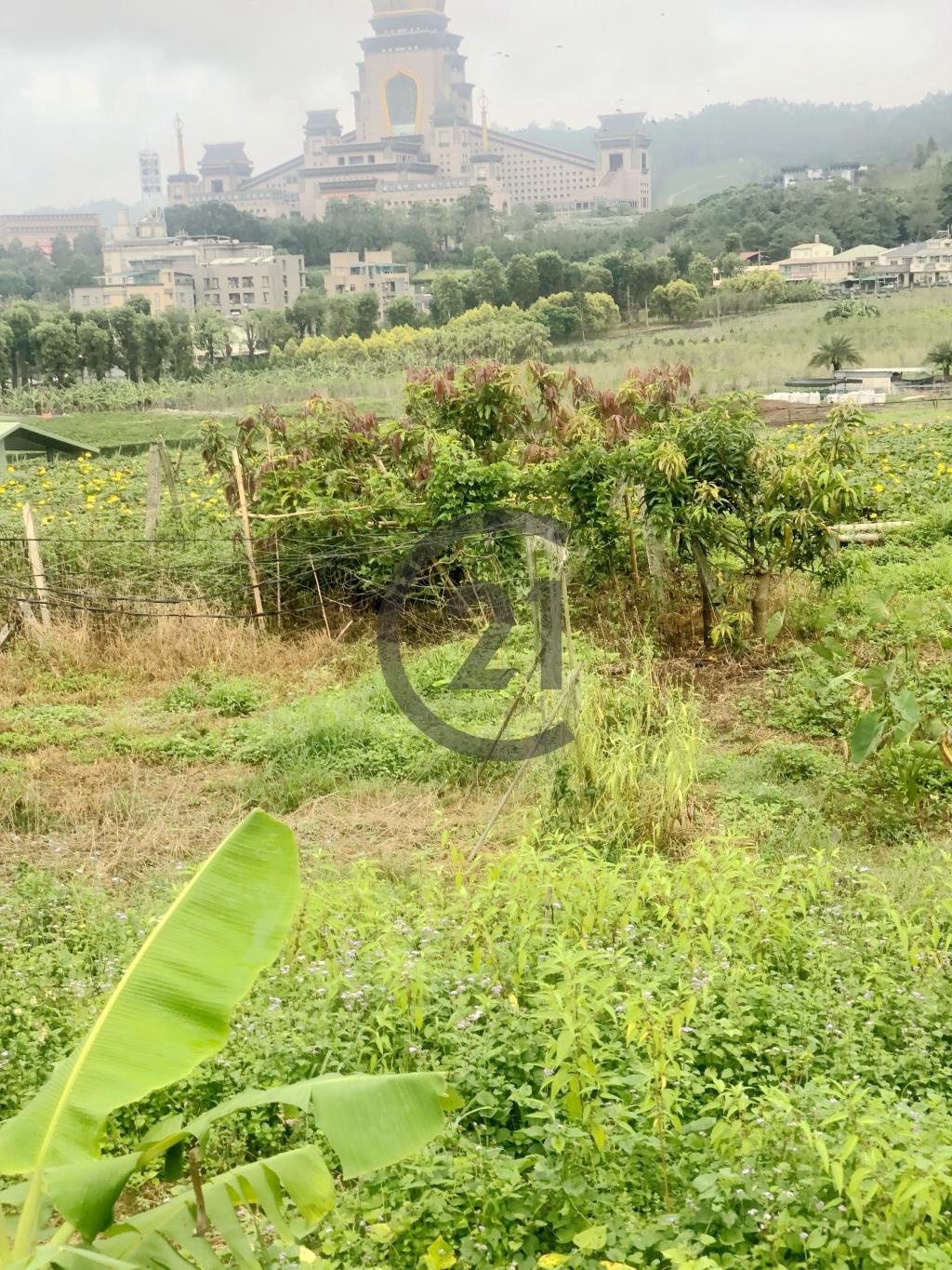 埔里農地附建物-L4