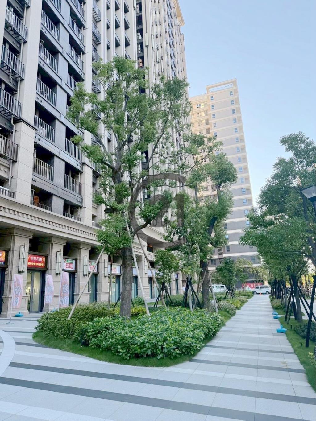 土城世界花園三房車-D49