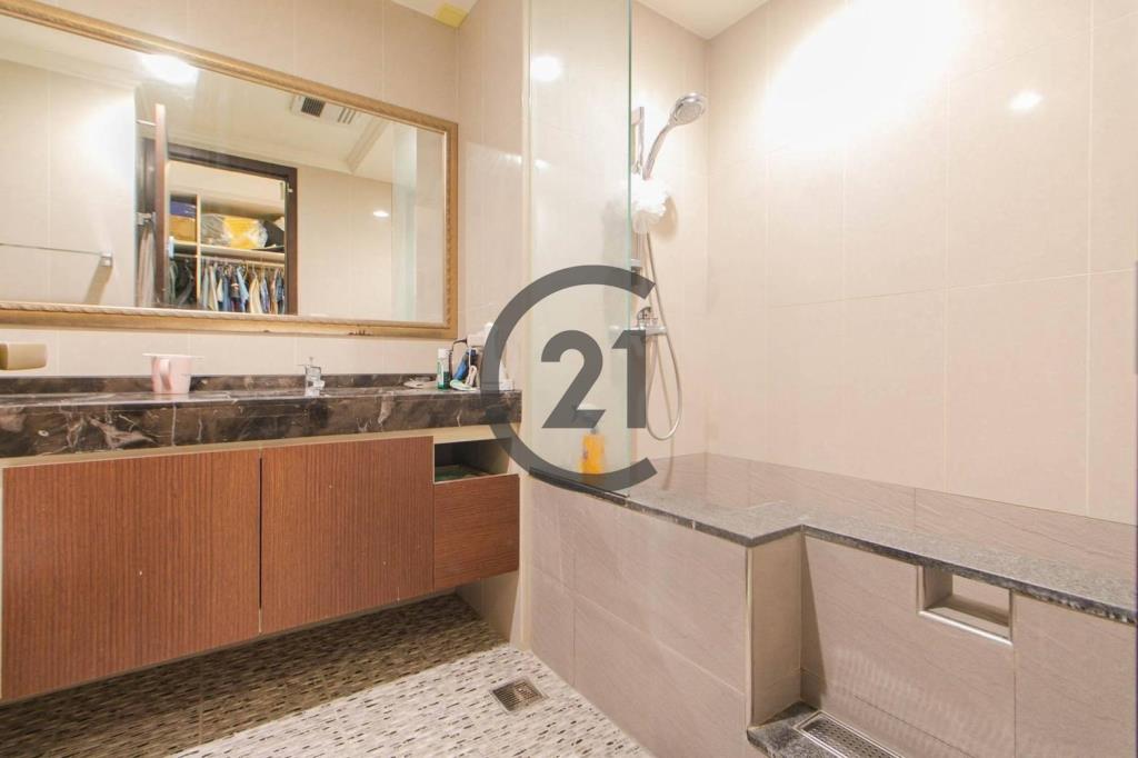 海德公園雙車位大戶-B212